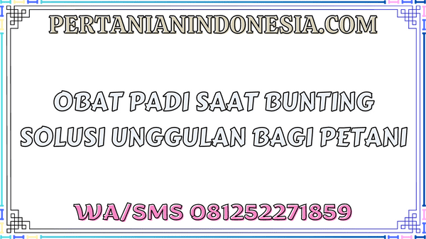 Obat Padi Saat Bunting Solusi Unggulan Bagi Petani
